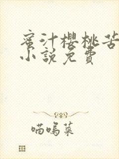 蜜汁樱桃苦咖啡小说免费