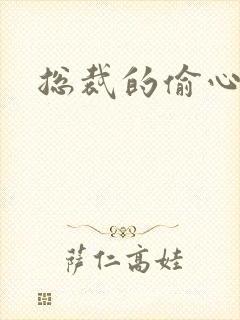 总裁的偷心娇妻