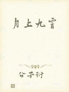 月上九霄封面