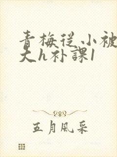 青梅从小被c到大h补课1