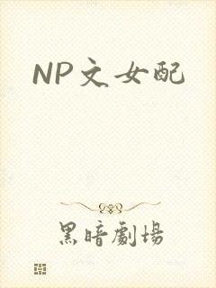 NP文女配