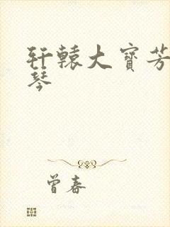 轩辕大宝芳菲雅琴