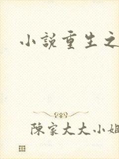 小说重生之官道