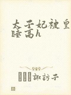 太子妃被皇上强睡高h