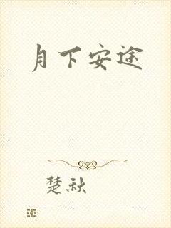 月下安途