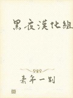 黑夜汉化组