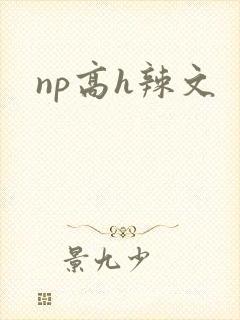 np高h辣文