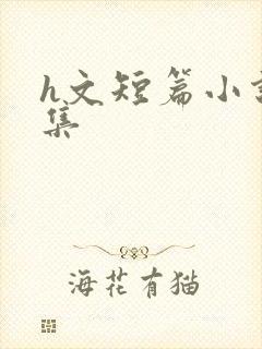 h文短篇小说合集