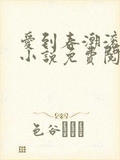 爱到春潮滚滚来小说免费阅读