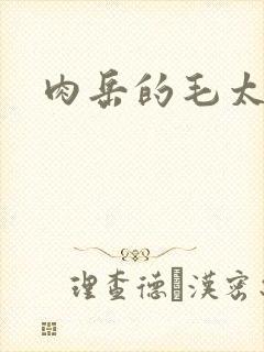 《肉岳的毛太浓了》小说封面