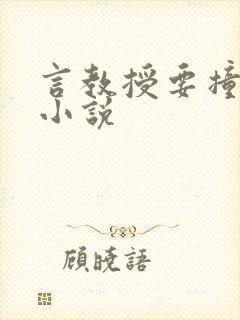 言教授要撞坏了小说