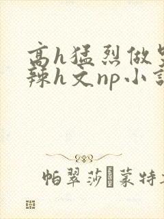 高h猛烈做哭高辣h文np小说