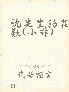 沈先生的花式调数(小非)