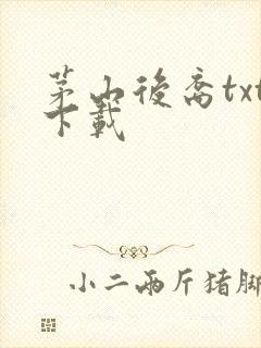 茅山后裔txt下载