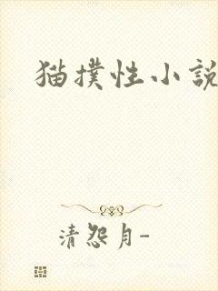 猫扑性小说