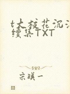 t大校花沉浮录续集TXT