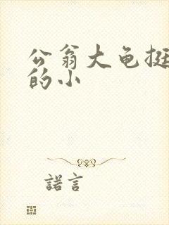 公翁大龟挺进我的小