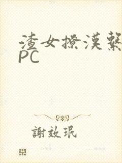 渣女撩汉系统NPC