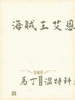 海贼王艾恩封面