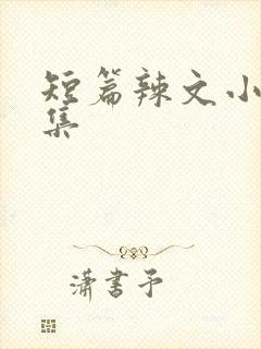 短篇辣文小说合集