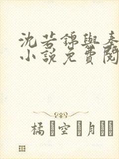 沈若锦与秦琅的小说免费阅读