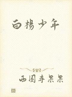白杨少年