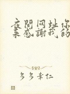 夜间网址你会回来感谢我的