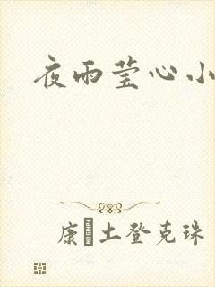 夜雨莹心小说