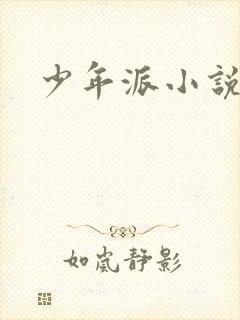 少年派小说