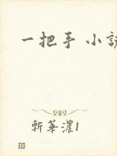 一把手 小说