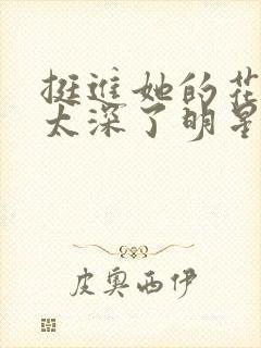 挺进她的花苞啊太深了明星小说封面