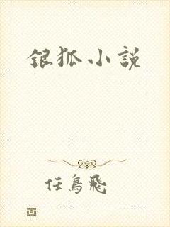 银狐小说