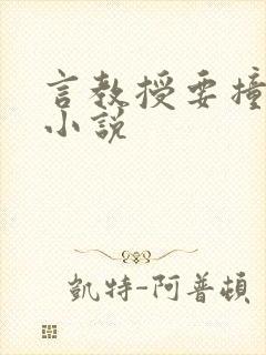 言教授要撞坏了小说