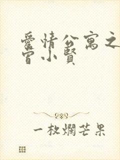 爱情公寓之极品曾小贤