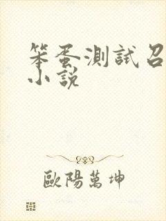 笨蛋测试召唤兽小说