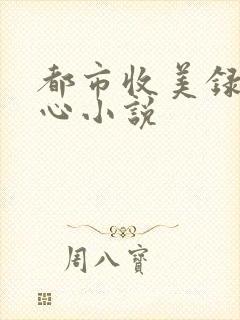 都市收美录宁素心小说