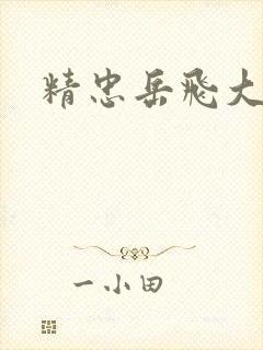 《精忠岳飞大结局》小说封面