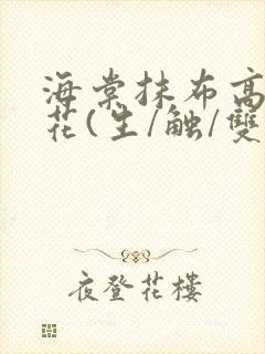 海棠抹布高岭之花(生/触/双)