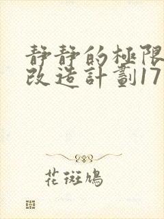 静静的极限自我改造计划17