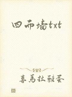 四面墙txt