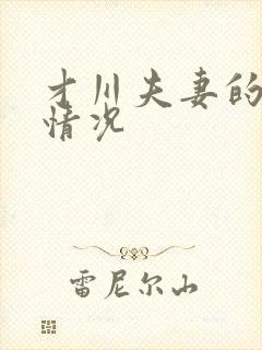 才川夫妻的恋爱情况