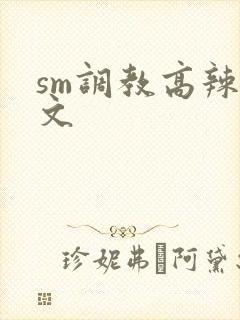 sm调教高辣h文