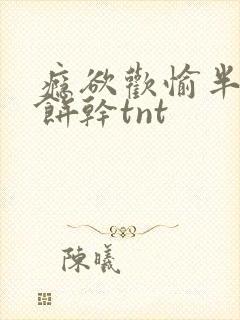 瘾欲欢愉半块小饼干tnt