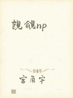 觊觎np
