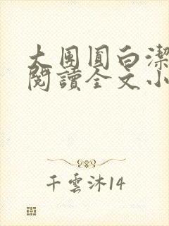 大团圆白洁免费阅读全文小说