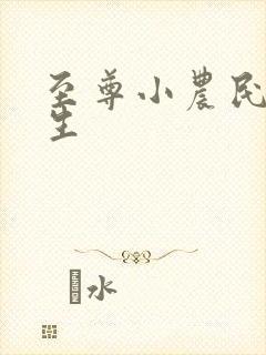 至尊小农民王木生