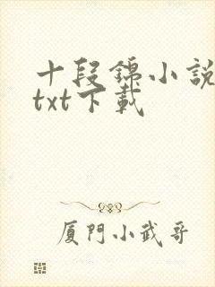 十段锦小说全本txt下载