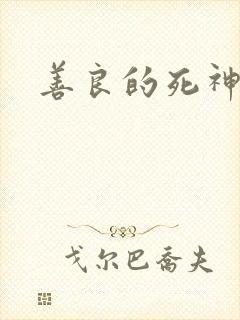 善良的死神小说