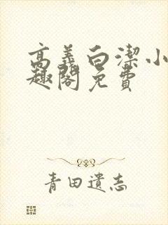 高义白洁小说笔趣阁免费