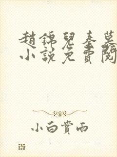 赵锦儿秦慕修的小说免费阅读全文